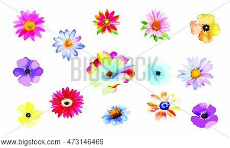 Colorful Daisy Flowers Collection Isolated On White Background, Simple Floral Vector Elements For Co