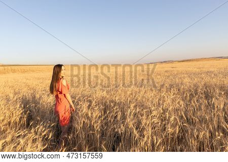 Young Woman In The Wheat Field, Mental And Physical Wellbeing Concept. Copy Space.