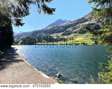 Sports And Recreational Trail Along The Alpine Lake Davos Or Loop Around Mountain Lake Davosersee, D