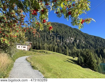Sports And Recreational Trail Along The Alpine Lake Davos Or Loop Around Mountain Lake Davosersee, D
