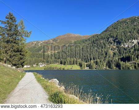 Sports And Recreational Trail Along The Alpine Lake Davos Or Loop Around Mountain Lake Davosersee, D