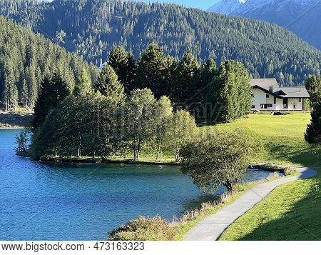 Sports And Recreational Trail Along The Alpine Lake Davos Or Loop Around Mountain Lake Davosersee, D