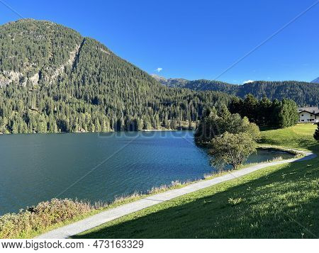 Sports And Recreational Trail Along The Alpine Lake Davos Or Loop Around Mountain Lake Davosersee, D