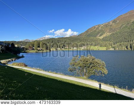 Sports And Recreational Trail Along The Alpine Lake Davos Or Loop Around Mountain Lake Davosersee, D