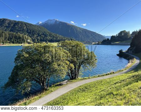 Sports And Recreational Trail Along The Alpine Lake Davos Or Loop Around Mountain Lake Davosersee, D