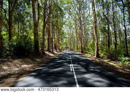 Caves Road - Margaret River - Western Australia