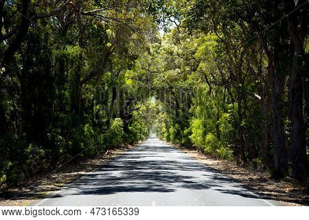 Caves Road - Margaret River - Western Australia