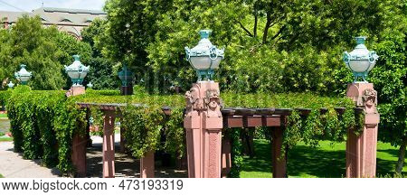 Pergola Covered With Wild Grapes. Central Park Of The City Of Mannheim. Germany. Wide Photo.