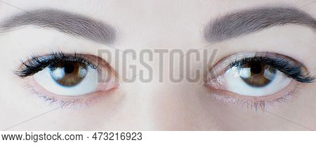 Close-up Of Brown Eyes With Luxurious Extreme Long Eyelashes, Perfect Skin, Ideal Eyebrows Of Unreco