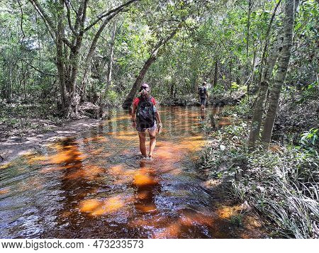 Girls Walking In The Pantanal Marimbus, Waters Of Many Rivers And Abundant Vegetation, In Andarai, B
