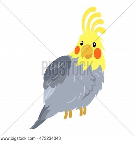 Corella Parrot Icon. Cartoon Of Corella Parrot Icon For Web Design Isolated On White Background