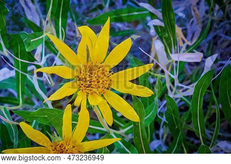 A Digital Watercolor Painting Featuring Small, Daisy-like Flowers With Long, Thin Petals In Shades O