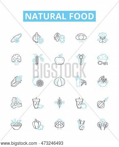 Natural Food Vector Line Icons Set. Organic, Whole, Unprocessed, Fresh, Plant-based, Local, Vegan Il
