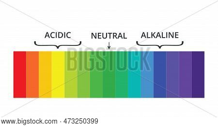 Ph Scale With Labels And Spectrum Indicators.