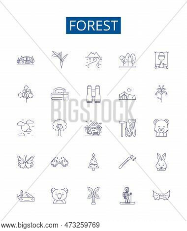 Forest Line Icons Signs Set. Design Collection Of Woodland, Trees, Jungle, Grove, Bush, Greenery, Gl