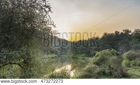 The Lake In The Jungle Is Surrounded By Thickets Of Trees And Bushes. The Evening Sun Is Shining Fro
