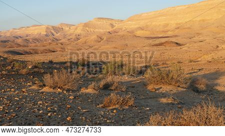Negev Desert Landscape At Sunrise On The Bottom Of The Crater Makhtesh Gadol, In The South Of Israel
