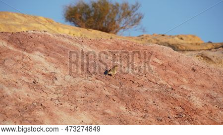 Colored Sands In Makhtesh Gadol Or Large Crater, Nature Reserve In Negev Desert, Israel