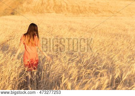 Unrecognizable  Woman In The Wheat Field. Moments Of Joy. Arms Out To The Side. Copy Space