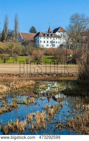 Marsh Landscape And The Brestenberg Castle By Hallwil Lake In Seengen, Switzerland