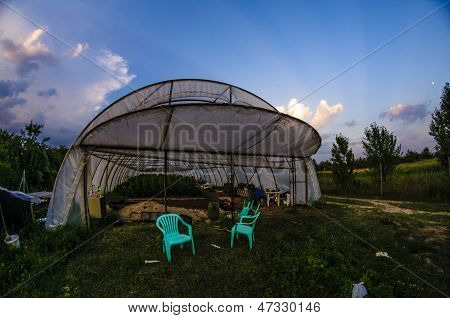 Polytunnel