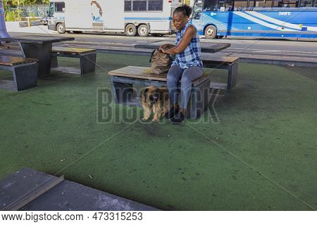 Close-up View Of Woman With Dog Sitting On Bench Under Brooklyn Bridge. New York. Usa. 09.21.2022.