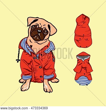 Pug In Red Jacket. Clothes For Dogs, Accessories, Hat, Boots. Vector Pug.