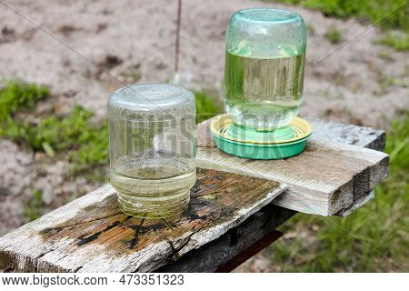 Homemade Drinkers For Bees From Cans In The Apiary In Ukraine. Honey Is A Beekeeping Product
