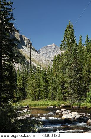 Whitetail Peak (12,548 Ft.) Fourth Highest Peak Viewed From Lake Fork Creek In Beartooth Mountains, 
