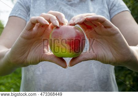 Heart From Hands On Apple. Healthy Food And Vegan Life Concept