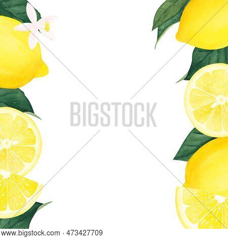 Vintage Watercolor Border, Frame - Hand Drawing Threads Of Lemon, Lime With Leaves. Painting Citrus 