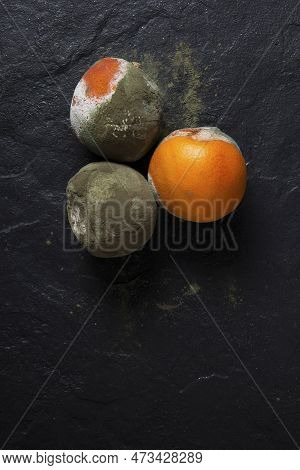 Rotten Oranges. Incorrect Storage. Spoiled Fruits On A Black Background. Horizontal Orientation. Cop