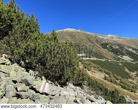 Alpine Mountaineering Signposts And Markings In The Mountainous Area Of The Albula Alps And Above Th