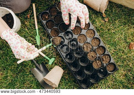 A Woman Prepares The Ground For Planting Seeds In Cells In The Spring. Close-up Hands Are Running Wi