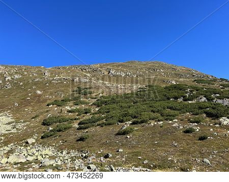 Autumn Alpine Pastures On The High Mountain Tops In The Albula Alps And Above The Swiss Mountain Roa