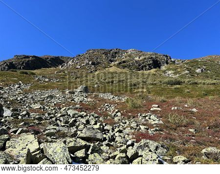 Autumn Alpine Pastures On The High Mountain Tops In The Albula Alps And Above The Swiss Mountain Roa