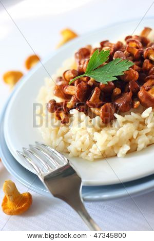 Risotto z Pieprznik jadalny