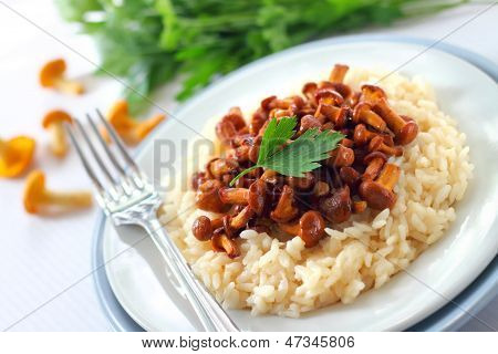 Risotto z Pieprznik jadalny
