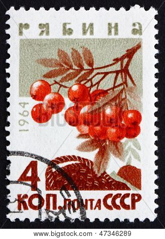Postage Stamp Rusland 1964 Mountain Ash, Rowan, bladverliezende boom