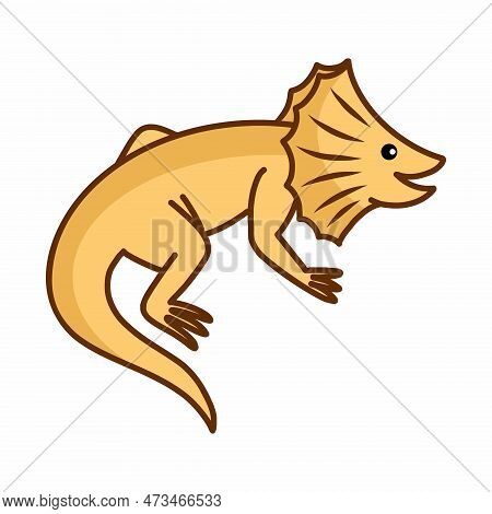 Frilled Lizard. Vector Doodle Illustration. Exotic Animals.