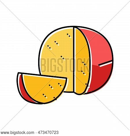 Edam Cheese Food Slice Color Icon Vector. Edam Cheese Food Slice Sign. Isolated Symbol Illustration