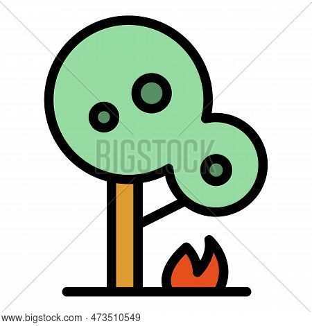 Tree Combustion Icon. Outline Tree Combustion Vector Icon For Web Design Isolated On White Backgroun