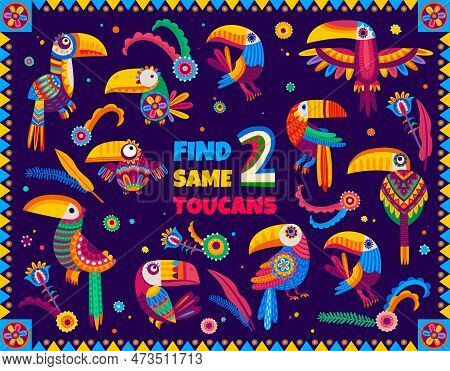 Find Two Same Mexican Toucan Birds, Kids Game Worksheet And Vector Quiz Puzzle. Find Two Same Object