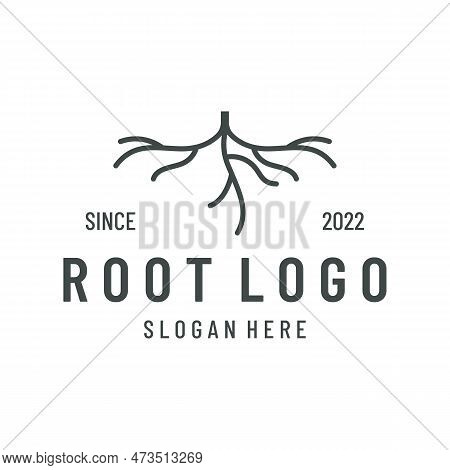 Single And Fibrous Tree Root Natural Abstract Logo Creative Template Design.