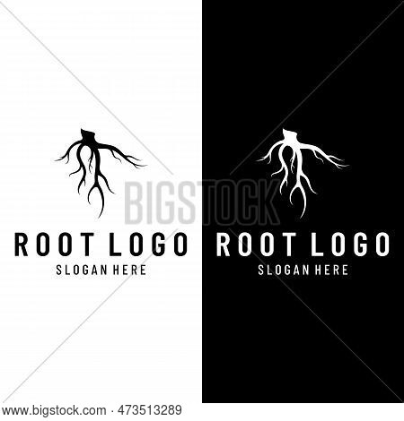 Single And Fibrous Tree Root Natural Abstract Logo Creative Template Design.