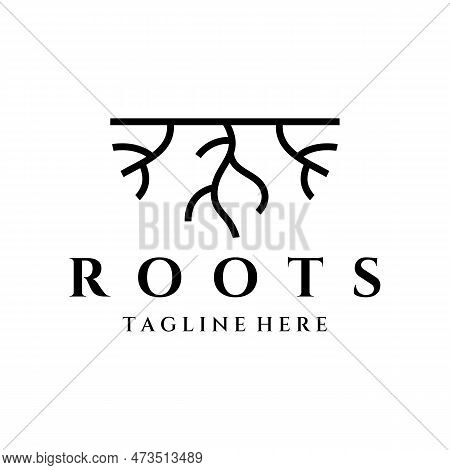 Single And Fibrous Tree Root Natural Abstract Logo Creative Template Design.