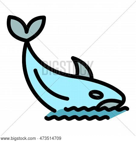 Dolphin Killer Icon. Outline Dolphin Killer Vector Icon For Web Design Isolated On White Background 