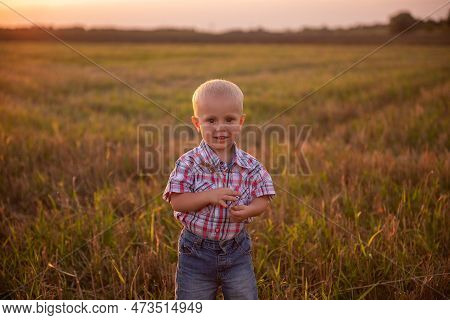 Close Up Portrait Of Little Boy In Plaid Shirt. Todder With Emotions Eats Spikelet Of Wheat