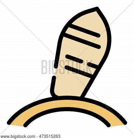 Surfboard Icon. Outline Surfboard Vector Icon For Web Design Isolated On White Background Color Flat