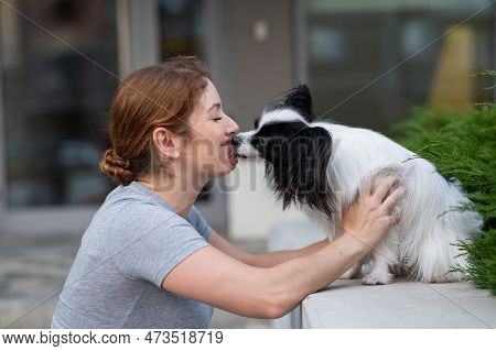 Caucasian Red-haired Woman Kissing Pappilion Dog Outdoors. Black And White Continental Spaniel.